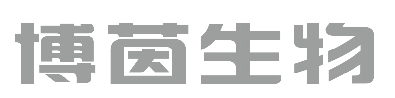 网站Logo